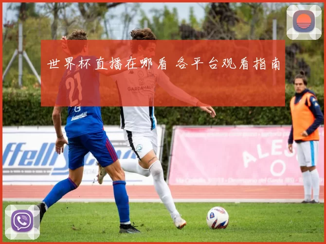 世界杯直播在哪看 各平台观看指南