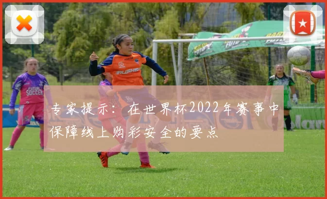 专家提示：在世界杯2022年赛事中保障线上购彩安全的要点