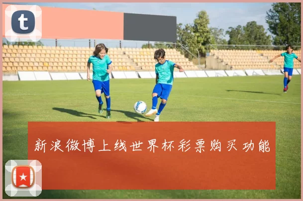 新浪微博上线世界杯彩票购买功能