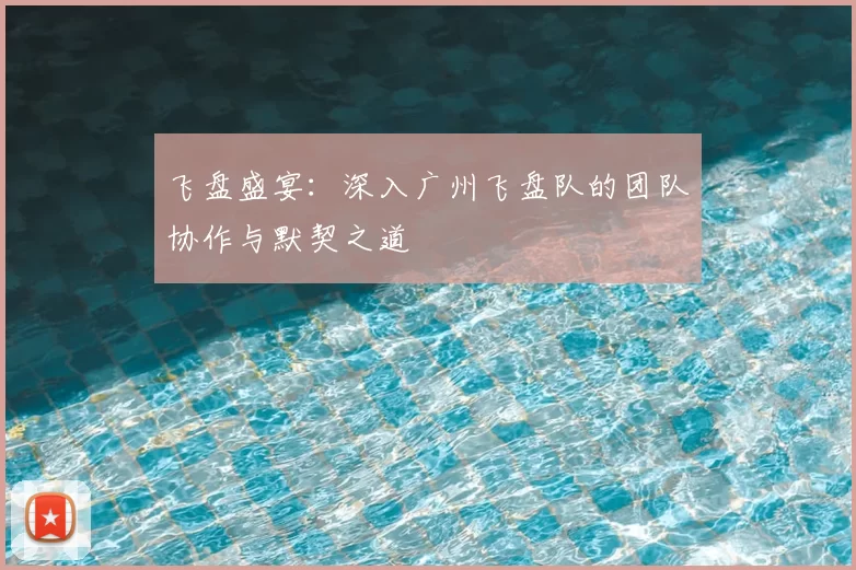 飞盘盛宴：深入广州飞盘队的团队协作与默契之道