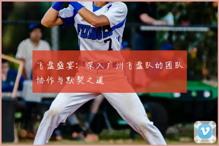 飞盘盛宴：深入广州飞盘队的团队协作与默契之道
