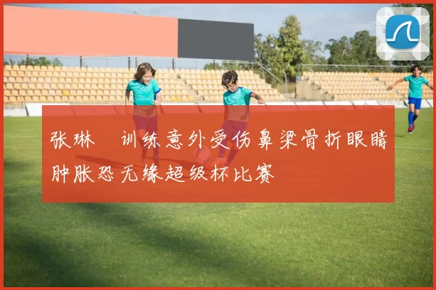 张琳芃训练意外受伤鼻梁骨折眼睛肿胀恐无缘超级杯比赛