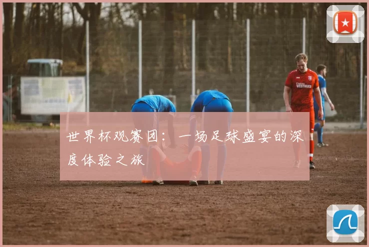 世界杯观赛团:一场足球盛宴的深度体验之旅