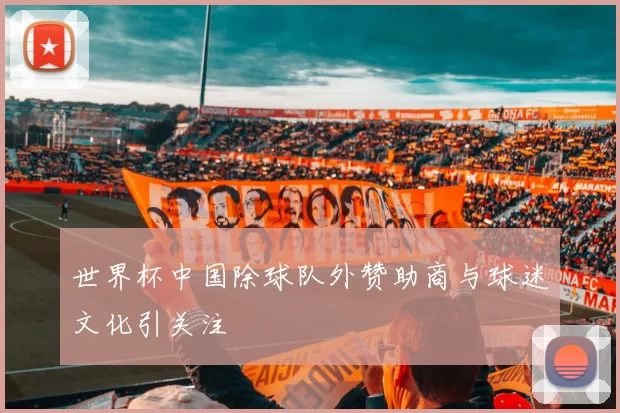 世界杯中国除球队外赞助商与球迷文化引关注
