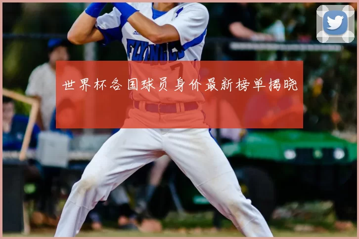 世界杯各国球员身价最新榜单揭晓