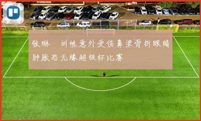 张琳芃训练意外受伤鼻梁骨折眼睛肿胀恐无缘超级杯比赛