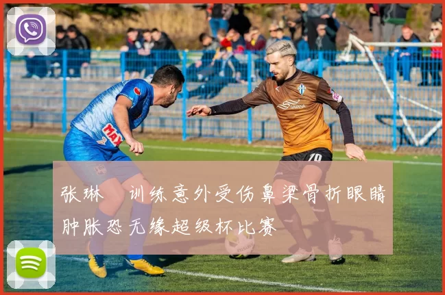 张琳芃训练意外受伤鼻梁骨折眼睛肿胀恐无缘超级杯比赛